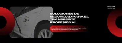 Seguridad transporte profesional